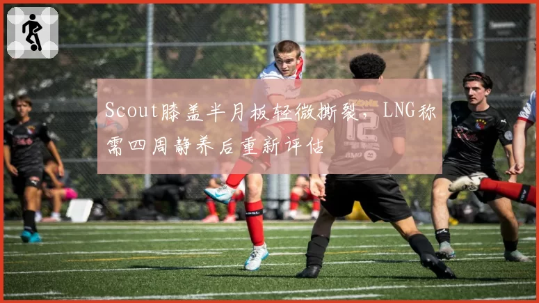 Scout膝盖半月板轻微撕裂,LNG称需四周静养后重新评估