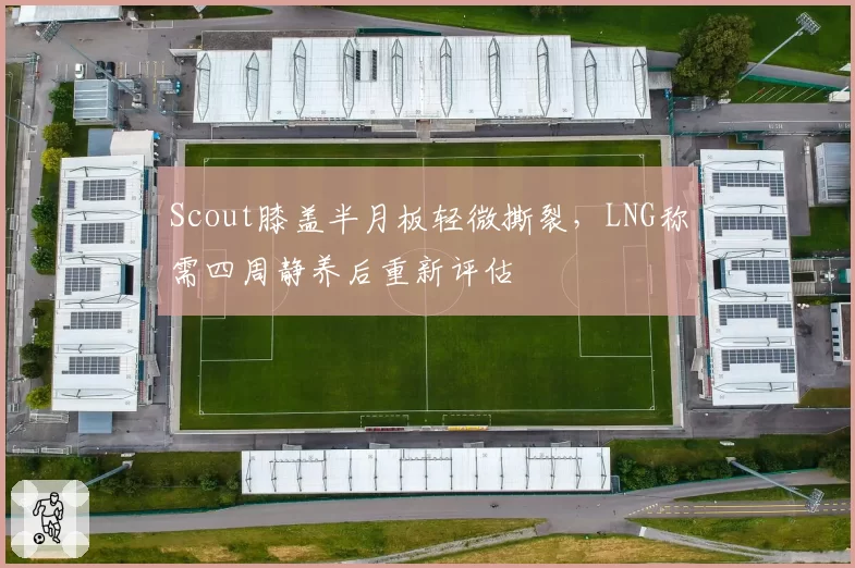 Scout膝盖半月板轻微撕裂，LNG称需四周静养后重新评估